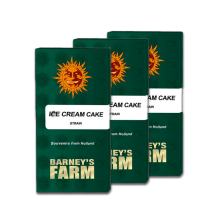 Ice Cream Cake - Barney´s Farm