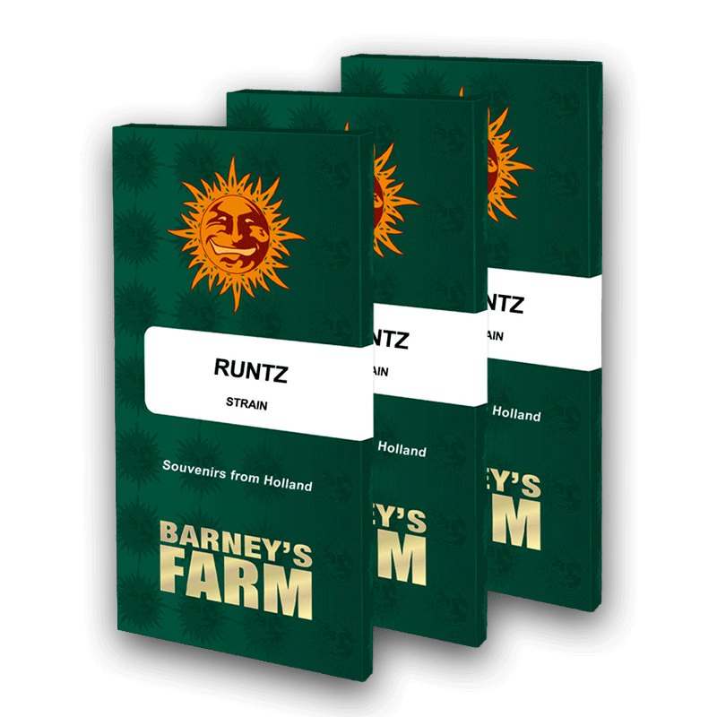 Runtz - Barney´s Farm