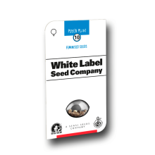 Pure Power Plant - Sensi Seeds (White Label)