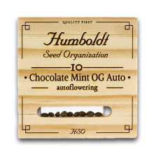 Chocolate Mint Og Auto - Humboldt Seeds Organization