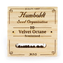 Velvet Octane - Humboldt Seed Organization