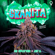 Granita - Perfect Tree