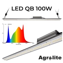 Barra LED 100W Agrolite