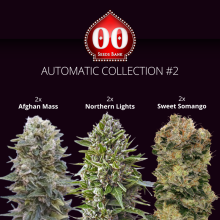 Automatic Colection 2 - 00 Seeds
