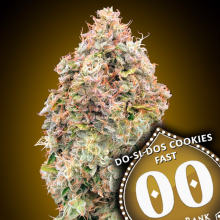 Do-Si-Dos Cookies Fast - 00 Seeds