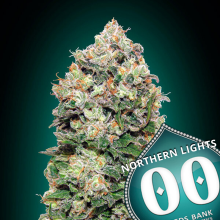Northern Lights - 00 Seeds