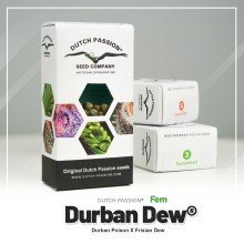 Durban Dew fem - Dutch Passion