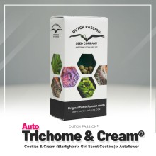 Auto Trichome & Cream - Dutch Passion