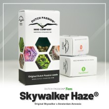 Skywalker Haze - Dutch Passion