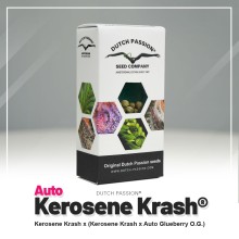 Auto Kerosene Krash - Dutch Passion