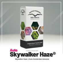 Auto Skywalker Haze - Dutch Passion