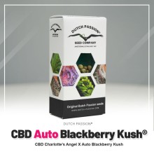 Auto CBD Blackberry Kush - Dutch Passion