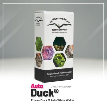 Auto Duck - Dutch Passion