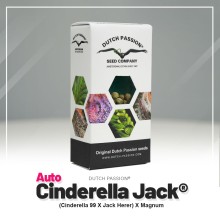 Auto Cinderella Jack - Dutch Passion