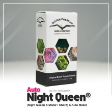 Auto Night Queen - Dutch Passion