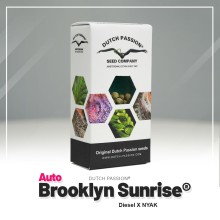 Auto Brooklyn Sunrise