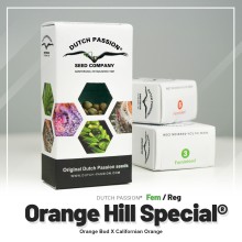 Orange Hill Special fem