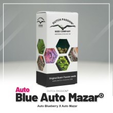 Blue Auto Mazar - Dutch Passion
