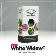 Auto White Widow - Dutch Passion