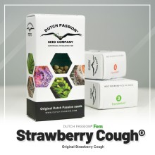 Strawberry Cough fem