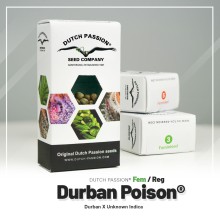 Durban Poison fem - Dutch Passion