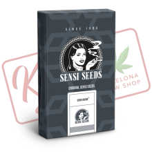 Auto Sensi Skunk - Sensi Seeds