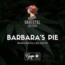 Barbara's Pie - Grateful Seeds