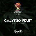 Calypso Fruit - Grateful Seeds