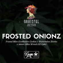 Frosted Onionz (One Shot Edition) - Grateful Seeds