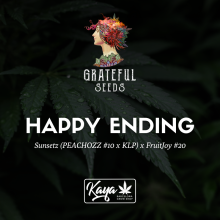Happy Ending (One Shot Edition) - Grateful Seeds