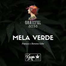 Mela Verde - Grateful Seeds