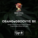OrangeGroovye BX - Grateful Seeds