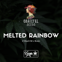 Melted Rainbow (One Shot Edition) - Grateful Seeds
