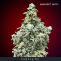 Cherry Pie - Advanced Seeds