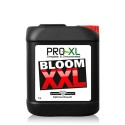 Bloom XXL - Pro XL