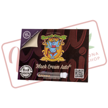 Black Cream Auto - Sweet Seeds - Stock renewal