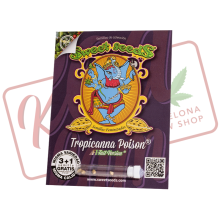 Tropicanna Poison F1 Fast Version - Sweet Seeds