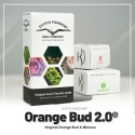 Orange Bud 2.0 - Dutch Passion