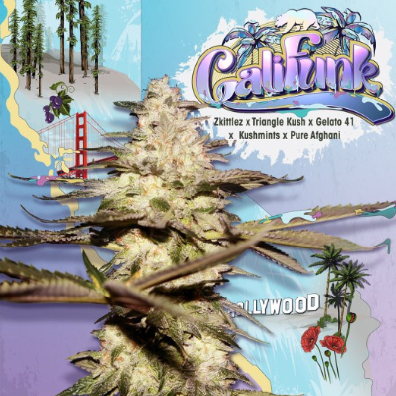 CaliFunk - TH Seeds