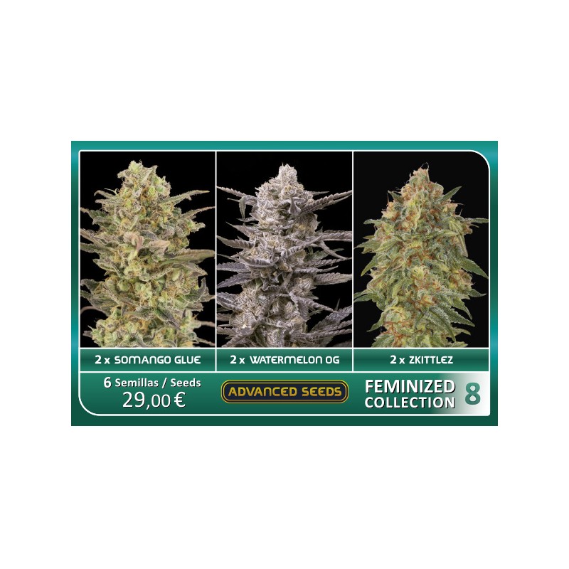 Feminized Collection 8 - Advanced Seeds