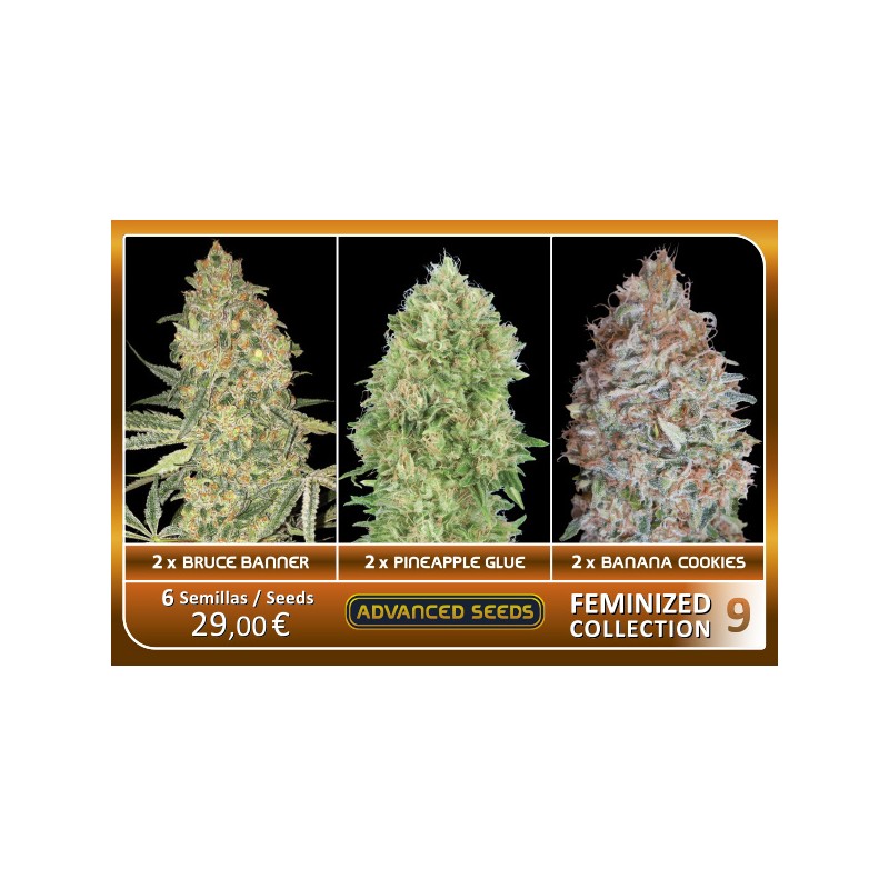 Feminized Collection 9 - Advanced Seeds
