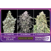 Feminized Collection 7 - Advanced Seeds