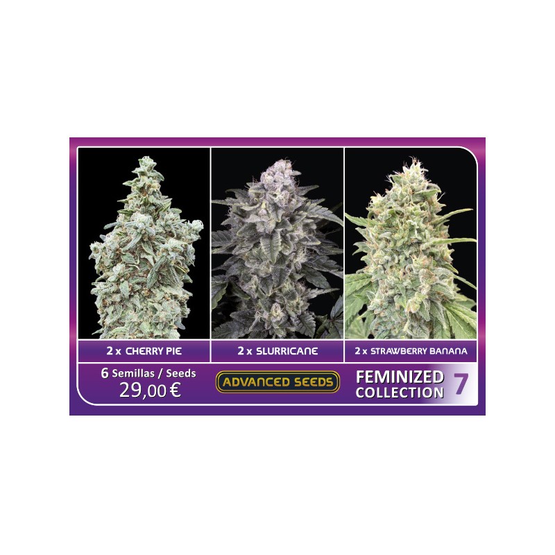 Feminized Collection 7 - Advanced Seeds