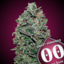 Sweet Somango - 00 Seeds