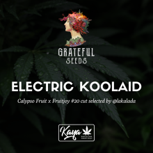 Electric Koolaid (One Shot Edition) - Grateful Seeds
