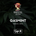 Gasmint (One Shot Edition) - Grateful Seeds