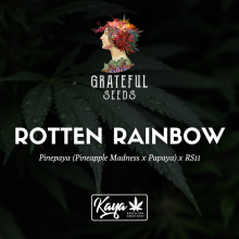 Rotten Rainbow (Limited Edition) - Grateful Seeds