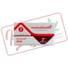 2046 (Pure Haze) - Medical Seeds