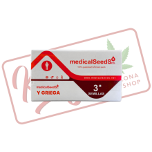 Y Griega - Medical Seeds