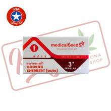 Cookies Sherbert auto - Medical Seeds